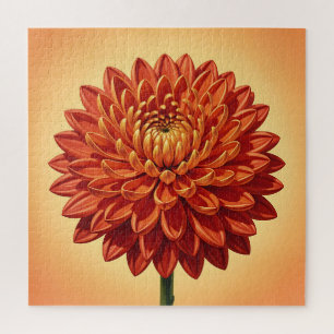 Levendige Rode Oranje Chrysanthemum Bloem Botanisc Legpuzzel
