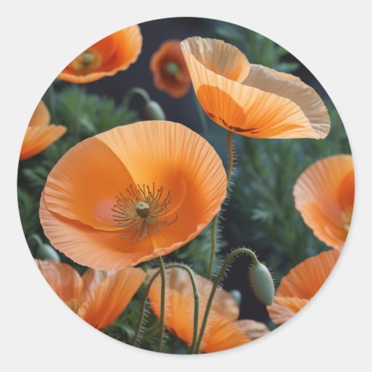 Levendige rode papaver bloem ronde sticker (Voorkant)