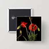 Levendige rode papavers op zwart vierkante button 5,1 cm (Voorkant /achterkant)
