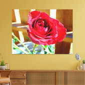 Levendige rode roos in zonlicht canvas afdruk (Insitu (Woonkamer))