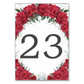 Levendige rode rozen zilveren quinceanera verjaard kaart (Achterkant)