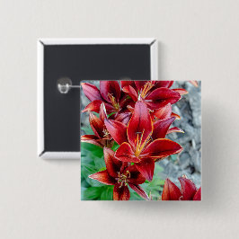 Levendige Rode Stargazer Lelie Botanische Bloem Vierkante Button 5,1 Cm