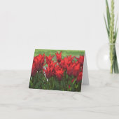 Levendige Rode Tulpen van Aquarel Kaart (Voorkant)