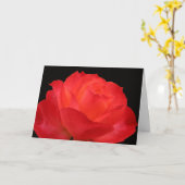 Levendige rood-oranje roos Moederdag kaart (Gele Bloem)