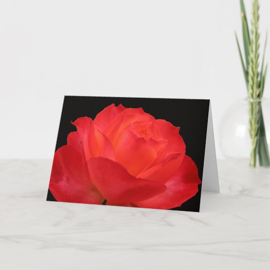 Levendige rood-oranje roos Moederdag kaart (Voorkant)