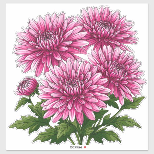 Levendige Roze Chrysanten in Bloei Sticker (Vel)