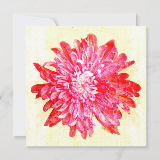 Levendige roze chrysanthemum bloem kaart (Voorkant)