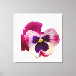 Levendige roze en paarse viooltjesbloem foto canva canvas afdruk