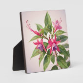 Levendige Roze Fuchsia Bloem Fotoplaat (Voorkant)