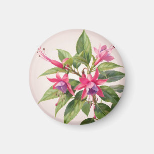 Levendige Roze Fuchsia Bloem Magneet