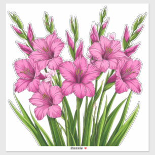 Levendige Roze Gladiolus Boeket Met Groen Blad Sticker