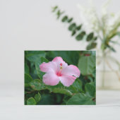 Levendige roze hibiscus bloem briefkaart (Staand voorkant)