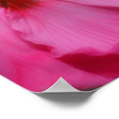 Levendige roze hibiscus bloem gedeeltelijke kleur poster (Hoek)