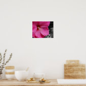 Levendige roze hibiscus bloem gedeeltelijke kleur poster (Keuken)