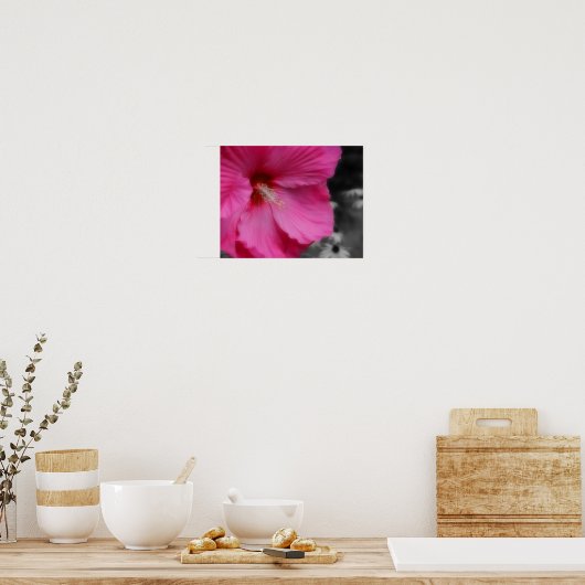 Levendige roze hibiscus bloem gedeeltelijke kleur poster (Keuken)