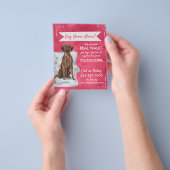 Levendige Roze Hond Walker Flyer Met Schattigee Ho (Hand)