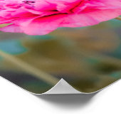 Levendige Roze Mediterrane Papavers Poster (Hoek)