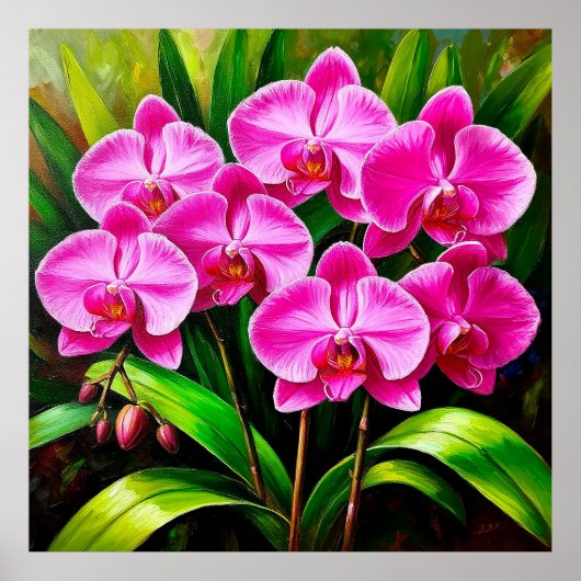 Levendige Roze Orchideeën Tropisch Bloemendecor Poster (Voorkant)
