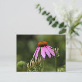 Levendige roze paarse coneflower briefkaart (Staand voorkant)