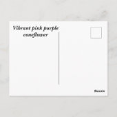 Levendige roze paarse coneflower briefkaart (Achterkant)