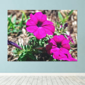 Levendige Roze Petunia's in Bloei Canvas Afdruk (Insitu (Houten vloer))
