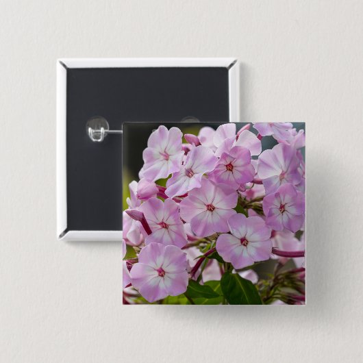 Levendige Roze Phlox Botanisch Vierkante Button 5,1 Cm (Voorkant /achterkant)