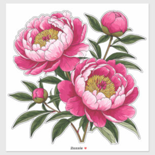 Levendige Roze Pioen Bloemschildering Sticker