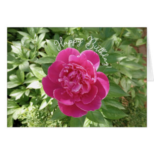 Levendige roze pioenbloem Kaart
