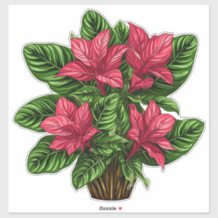 Levendige roze poinsettia plant met groene bladere sticker