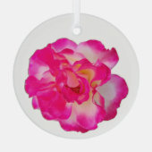 Levendige Roze Roos Versiering Glas Ornament (Achterkant)