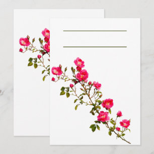 Levendige roze rozen tak met bloemen en knoppen kaart