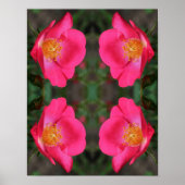 Levendige roze rozenblaadjes Abstracte bloemenkuns Poster (Voorkant)