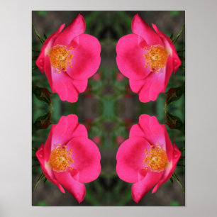 Levendige roze rozenblaadjes Abstracte bloemenkuns Poster