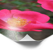 Levendige Roze Rozenblaadjes Abstracte Bloemkunst  Foto Afdruk (Hoek)