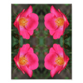 Levendige Roze Rozenblaadjes Abstracte Bloemkunst  Foto Afdruk (Voorkant)