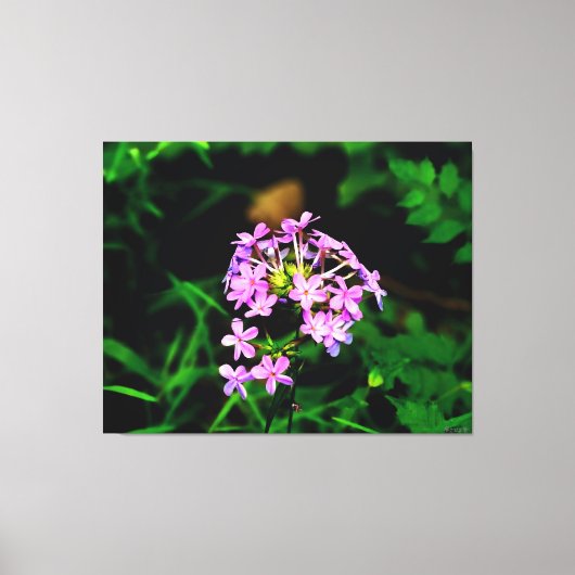 Levendige Roze Wilde Bloem Canvas Afdruk (Voorkant)