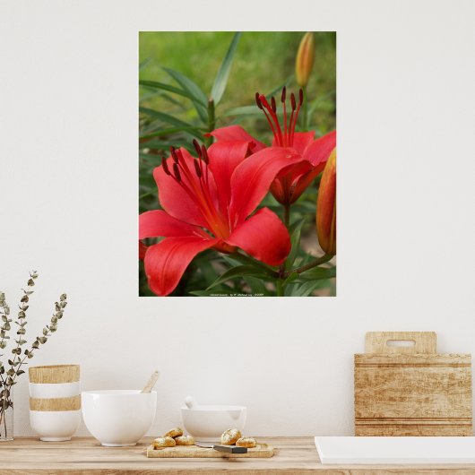 levendige schoonheid - door W. Michael Ley - ... Poster (Keuken)