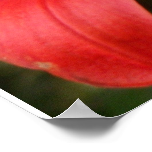 levendige schoonheid - door W. Michael Ley - ... Poster (Hoek)