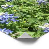 Levendige Texas Bluebonnet-muurposter Poster (Hoek)