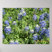 Levendige Texas Bluebonnet-muurposter Poster (Voorkant)