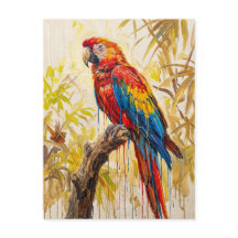Levendige Tropische Ara Vogel
