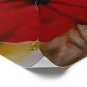 ​Levendige Tropische Hibiscus Bloem Poster (Hoek)
