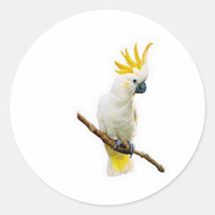 Levendige Tropische Kaketoe - Exotische Indonesisc Ronde Sticker