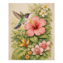 Levendige Tropische Kolibrie Botanische Hibiscus