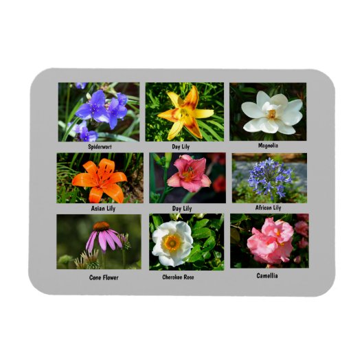 Levendige tuinbloemen magneet (Horizontaal)