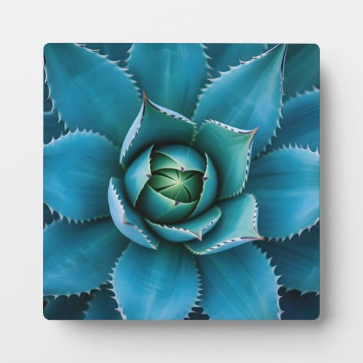 Levendige Turkoois Agave Succulent Macro Geometris Fotoplaat (Voorkant)