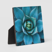Levendige Turkoois Agave Succulent Macro Geometris Fotoplaat (Voorkant)