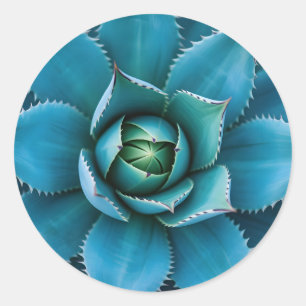 Levendige Turkoois Agave Succulent Macro Geometris Ronde Sticker
