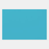 Levendige Turquoise, Bruin & Crème Plaid Inpakpapier Vel (Voorkant 2)