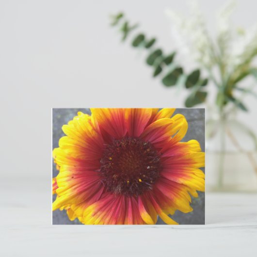 Levendige ventilator briefkaart (Staand voorkant)